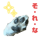 586676984