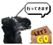 586676987