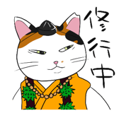 586680430