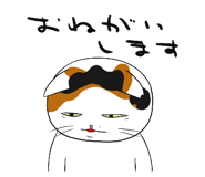 586680444