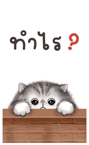 สติกเกอร์ 586681343