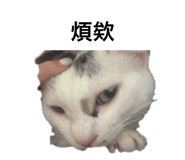586728016
