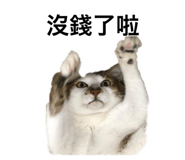 586728026