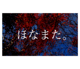 586736303