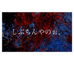 586736304