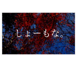 586736306