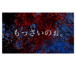 586736307