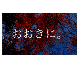 586736308