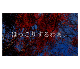 586736311