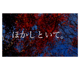 586736313