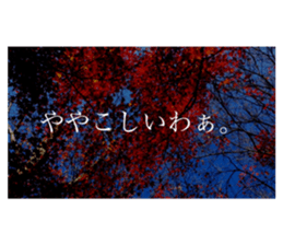 586736314
