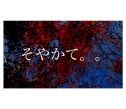 586736316