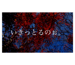 586736319