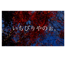 586736324
