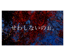 586736331