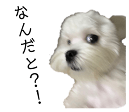 586750499