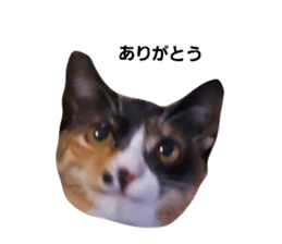 586775578