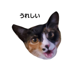 586775579