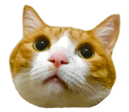 586788638