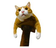 586788650