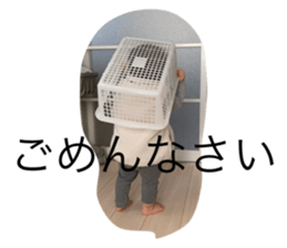 586798717