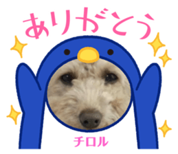 586799363