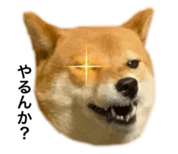 586807454