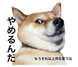 586807456