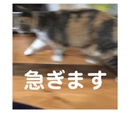 586939869