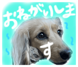 586950431