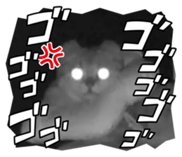 586961325