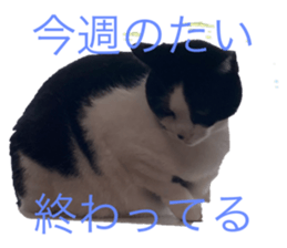 586994544