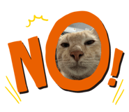 587001365