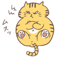 5870078