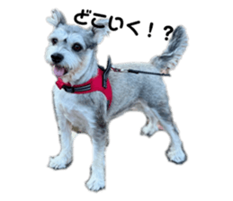 587014287