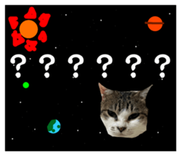 587020428