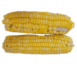 587055414