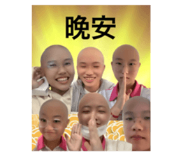587185956