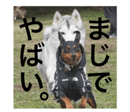 587189109