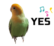 587201889