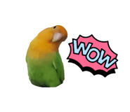 587201895