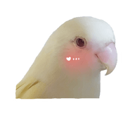 587201896