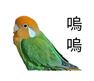 587201897