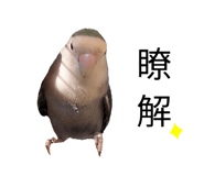 587201898