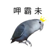 587201899