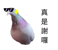 587201901