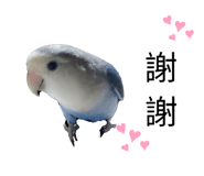 587201906