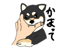 587270245
