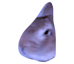 587276743
