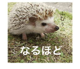 587278704